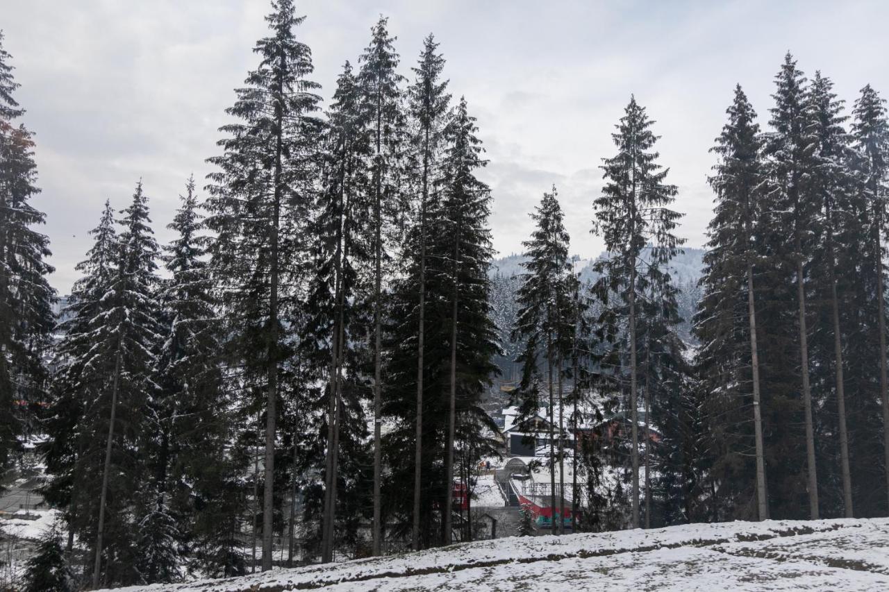 Hvoya Apart-Hotel & Spa Bukovel Extérieur photo